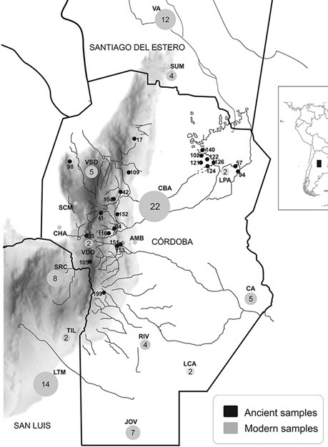 Mapa de muestras antiguas y modernas de mitogenomas en Argentina central